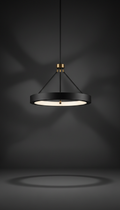 Graphite Halo ceiling fixture